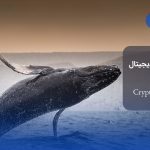 معرفی نهنگ ارز دیجیتال (Whale Crypto)